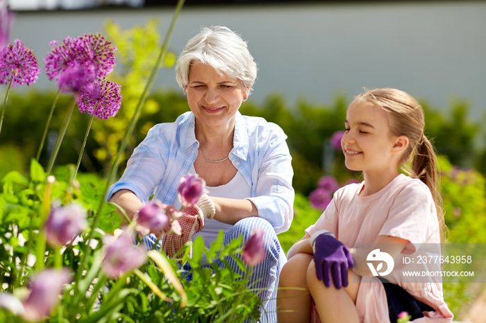 gardening, family and people concept - happy grandmother and granddaughter with flowers at summer garden