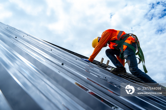 Roofer working on roof structure of building on construction site,Roofer using air or pneumatic nail gun and installing Metal Sheet on top new roof.