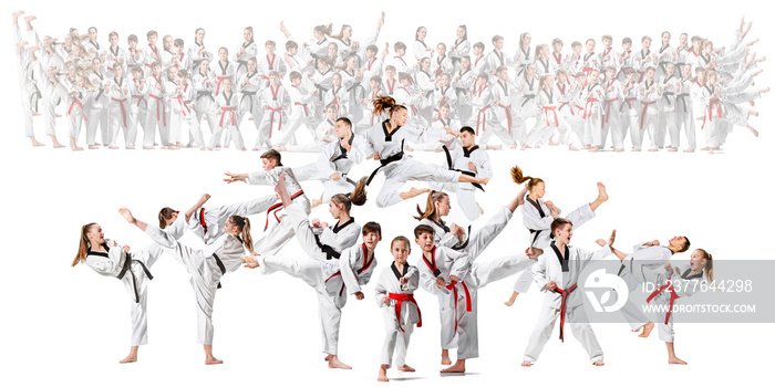 The collage about group of kids training karate martial arts and posing on white backlground. The attack, sport, taekwondo, children activity concept
