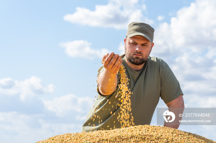 Farmer holding soy grains in his hands