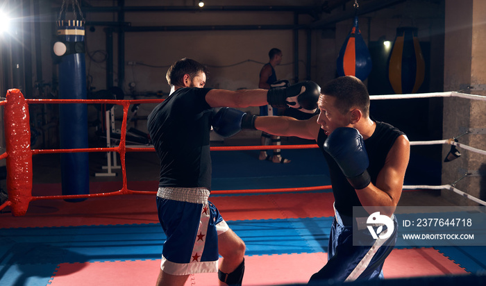 Two athlete sportsmen kickboxers practicing boxing, fighting in the ring at the sport club