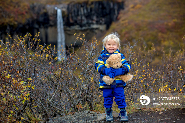 Happy toddler child, holding teddy bear, posing in front of beautiful waterfall Svartifoss in Skaftafell national park in Iceland