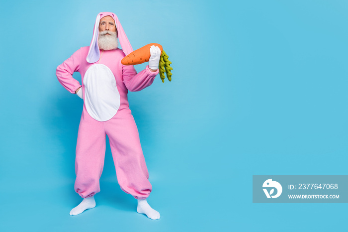 Full length photo of cool serious pensioner guy dressed bunny kigurumi holding carrot empty space isolated blue color background