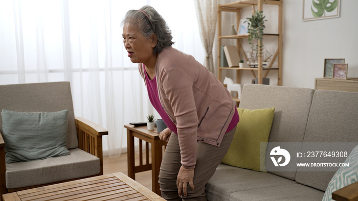 asian grey haired grandmother is groaning in pain due to arthritis in the knees while she is standing up from sofa and sitting down to rest in the living room