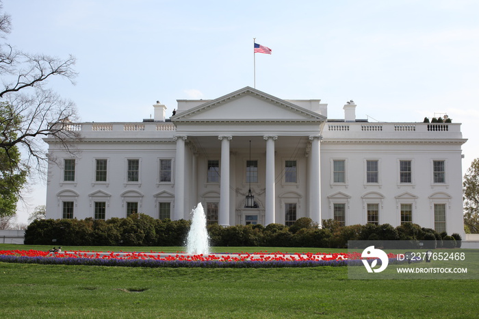 white house with flower and fountain in washington dc