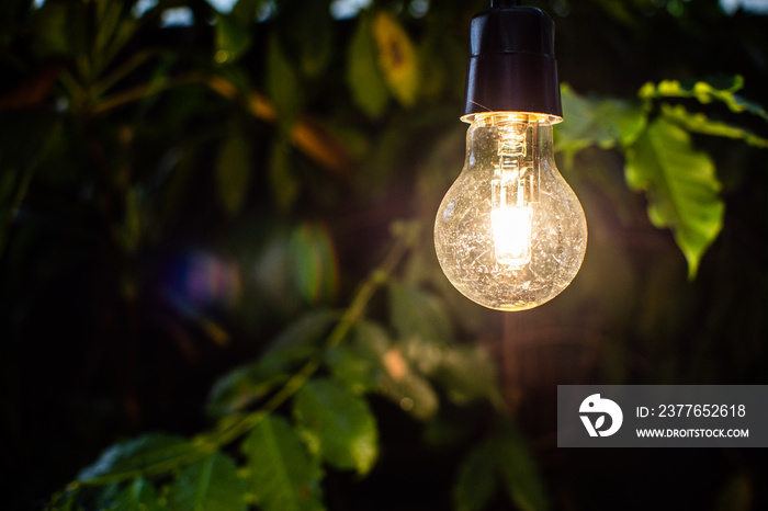 Lit light bulb over garden background