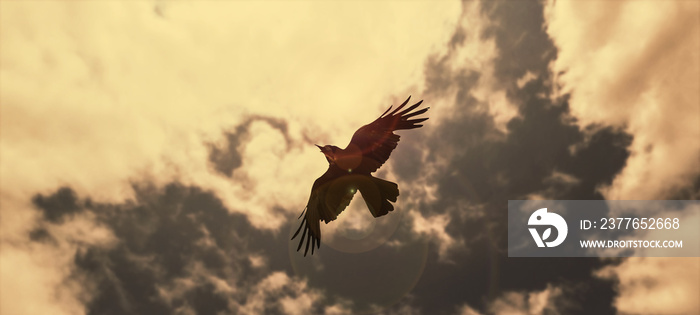 a silhouette eagle flying in clouds at sunset.