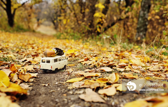 a small white toy car carries an acorn on the roof against the background of yellow autumn trees and forest. Autumn concept, Hello autumn, copy space, place for text.