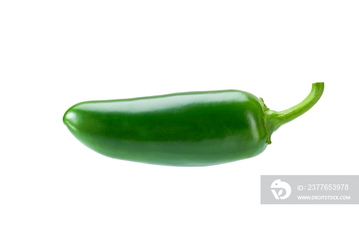 Single jalapeno pepper  isolated on white background.