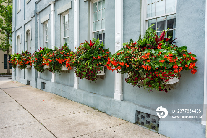 Charleston Flower Boxes