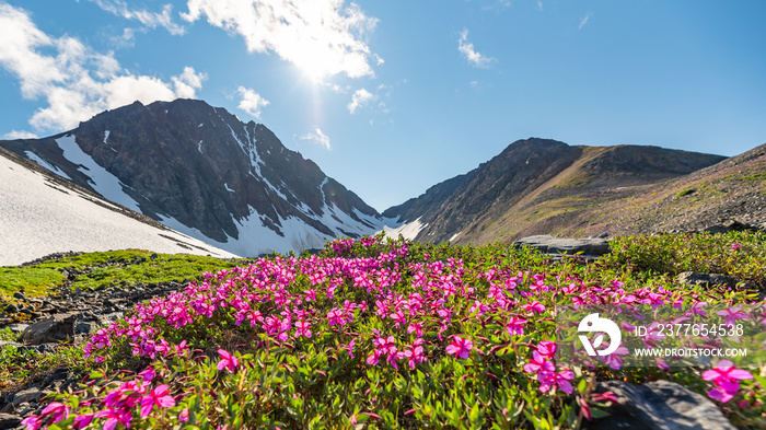 Panoramic mountain views in Yukon Territory near Alaska, USA.