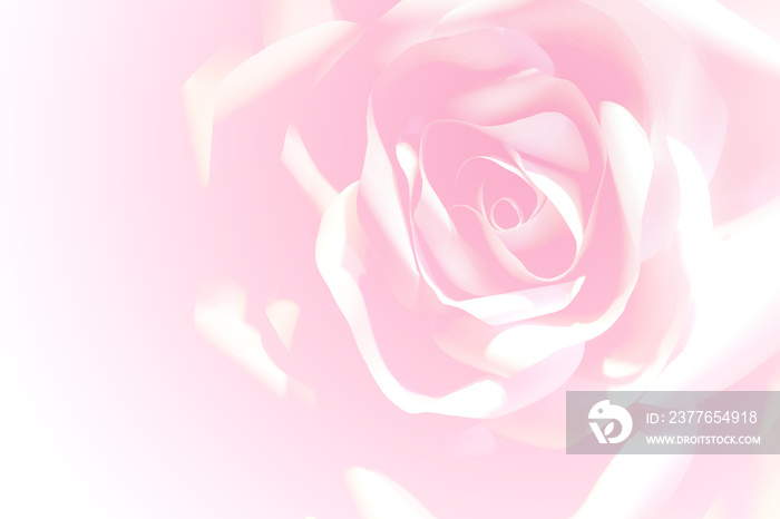 Pink rose background