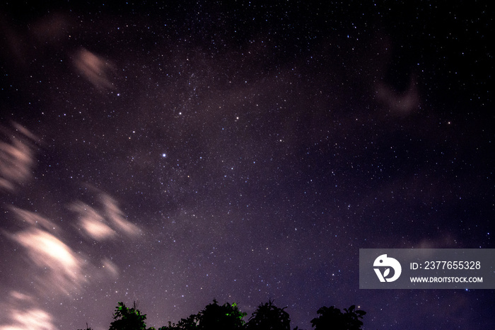 Beautiful night sky and many stars with tree leafs.