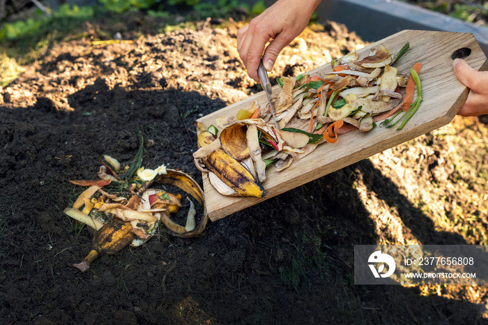 throwing food leftovers in garden compost pile. recycling organic kitchen waste