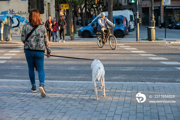 unrecognisable person walking dog in the city crossing the road, urban scene