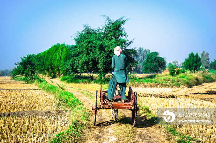 a man is standing on the wooden buggy and running to it’s agriculture fields to work on a gravel road and green side of it