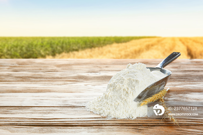 Scoop with wheat flour on wooden table in field