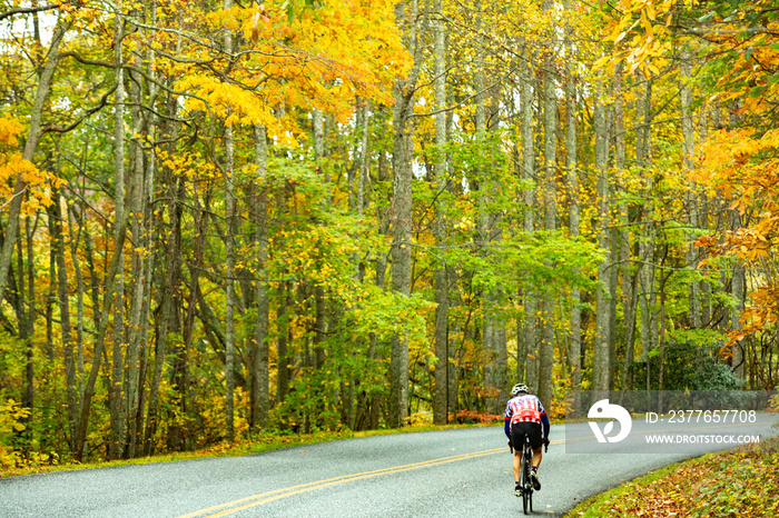 Man Riding Bicycle in Fall on Blue Ridge Parkway