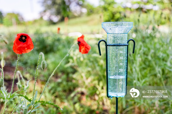 Meteorology with rain gauge in garden after the rain