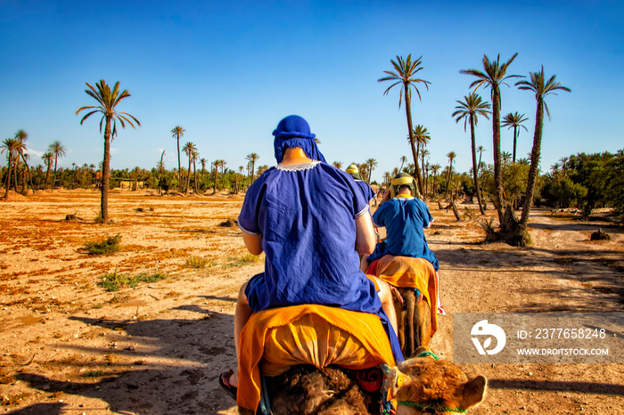 Camel caravan in Sahara desert, Morocco. People in blue dressing Bedouin ride camels in sand dunes in Africa. There are palm trees around.