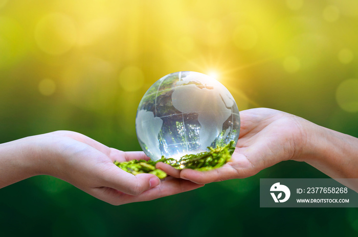 Concept Save the world save environment The world is in the grass of the green bokeh background