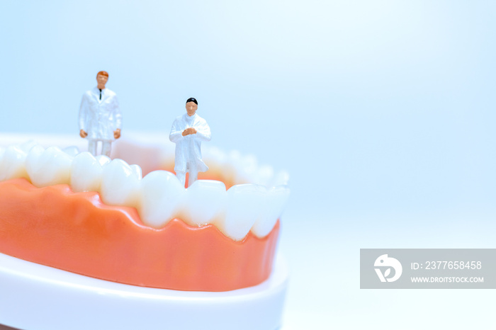 Miniature people : Dentist observing and discussing about human teeth with gums