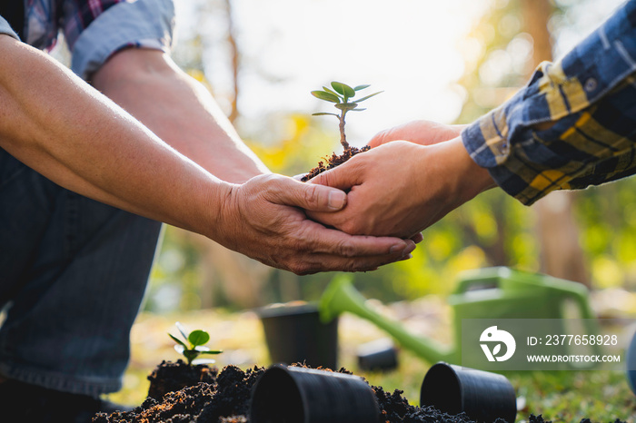 Two men planting a tree concept of world environment day planting forest, nature, and ecology A young man’s hands are planting saplings and trees that grow in the soil while working to save the world.