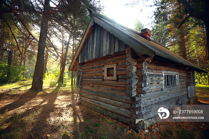 outdoor activities tourism, holiday house in a pine forest, summer landscape sunny day nature north