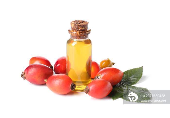 Bottle of essential oil and rose hip berries on white background