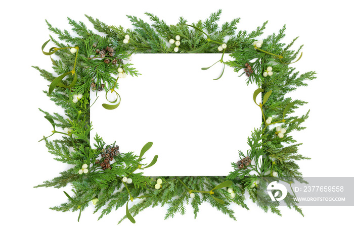 Mistletoe, juniper fir & cedar cypress leylandii winter greenery border on white with copy space. Traditional natural flora for the Christmas & New Year season. Top view, flat lay.