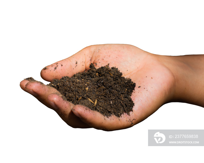 handful of soil isolated