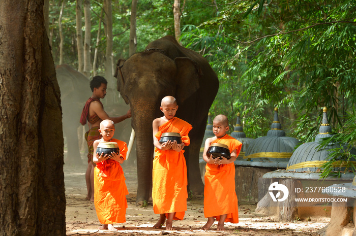 Monk and Elephant  ,Surin Thailand