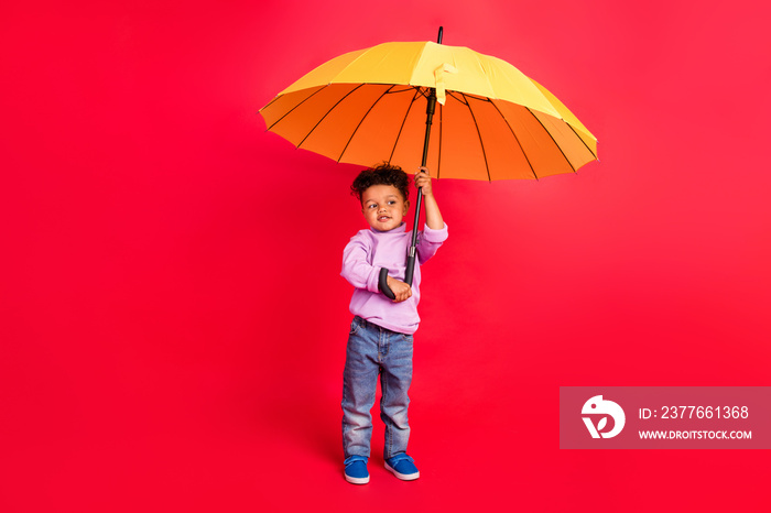 Full length body size view of attractive cheerful kid holding parasol walking isolated over bright red color background