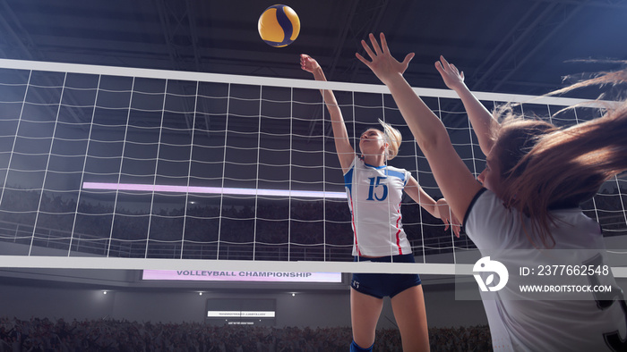 Female professional volleyball players in action on 3d stadium.