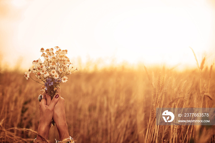 Girl holding flowers and lying in a wheat field.