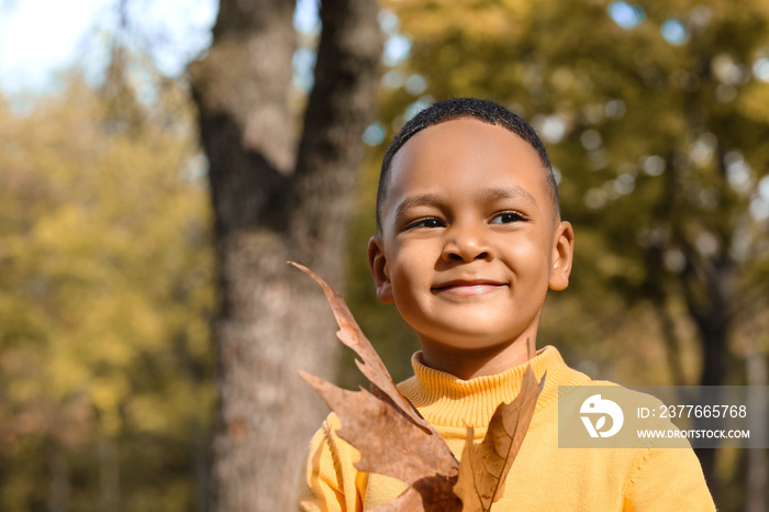 Cute African-American boy with leaves in autumn park