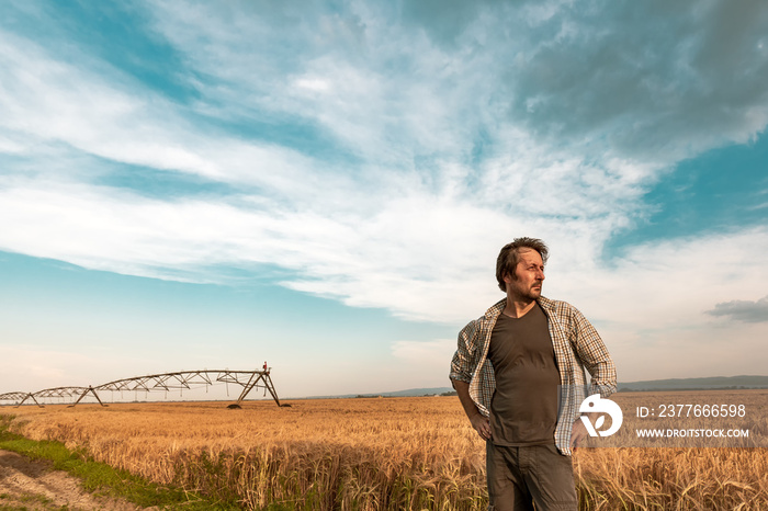 Worried farmer in barley field on a windy day