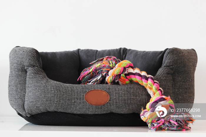 Empty isolayed dog basket with colorful toys