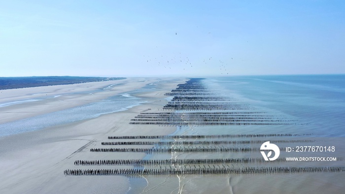 baie de Somme, d’Authie et parc du Marquenterre