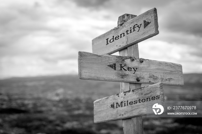 identify key milestones text quote on wooden signpost outdoors in black and white.