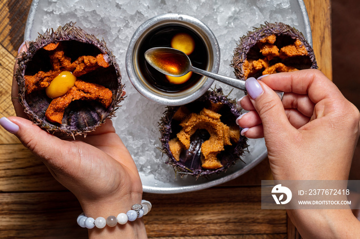 Sea urchin with sauce and yolk