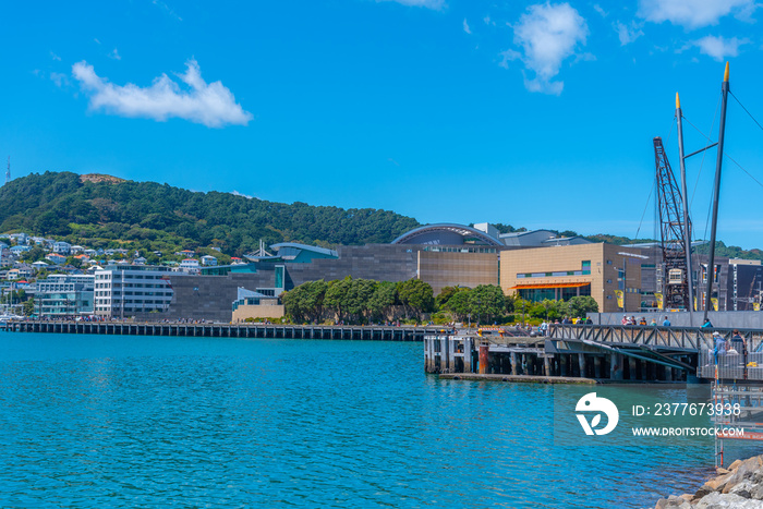 Museum of New Zealand Te Papa Tongarewa in Wellington, New Zealand