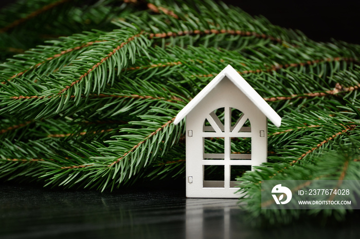 White house on a background of a green fir branch