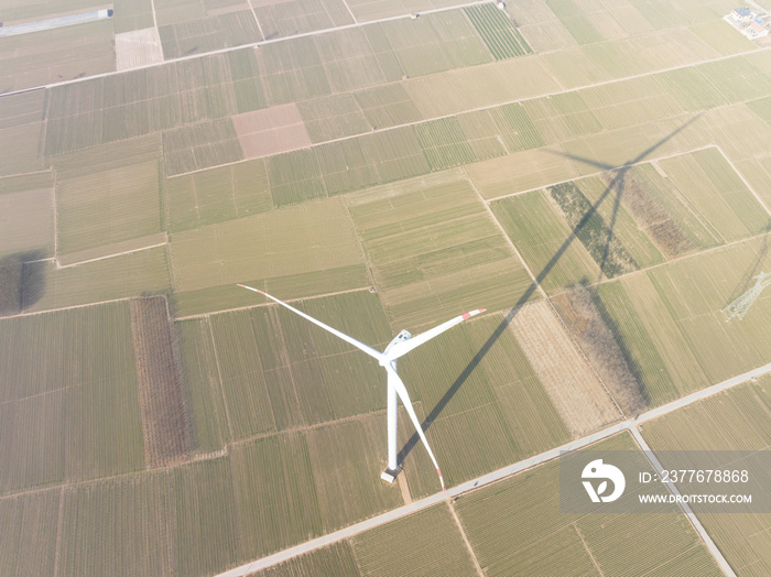 Wind Turbines in farm