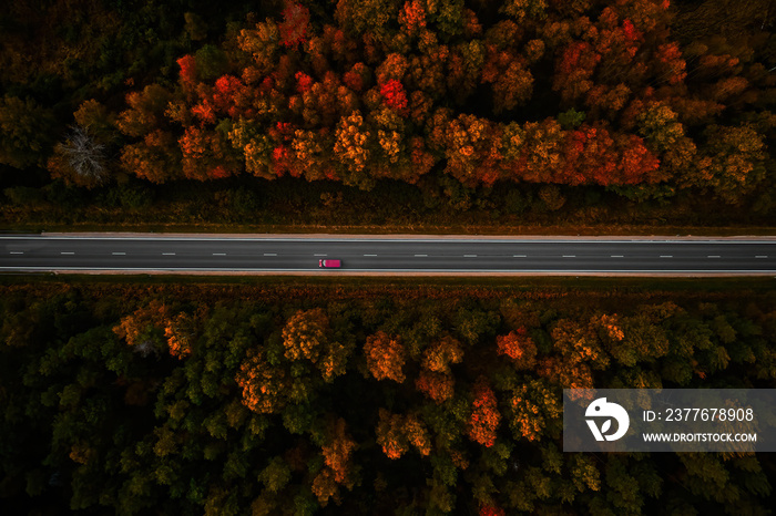 Aerial view of thick forest in autumn with road cutting through