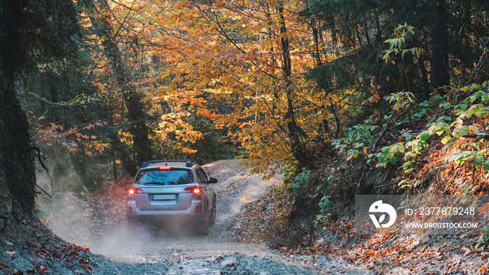 Offroad car in nature.  Offroad Car On The way