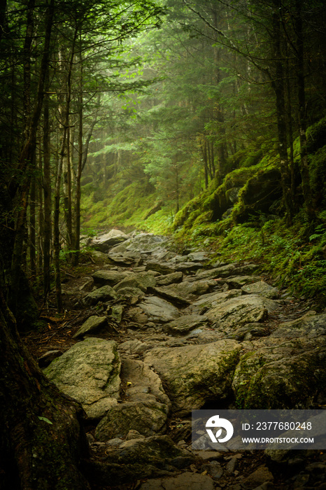 Rocky Appalachian Trail in Fog