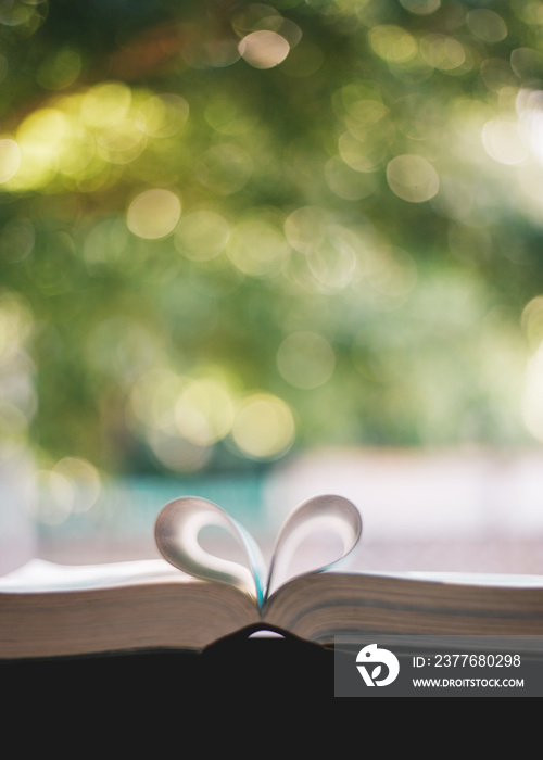 Soft focus open holy Bible at window,heart pages background
