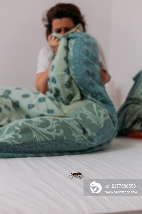 Woman in bedroom terrified by big spider crawling over her bed