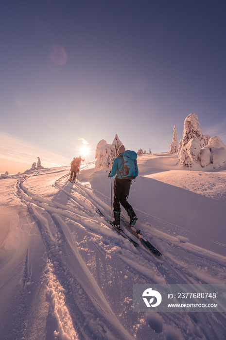 Mountaineer backcountry ski waling in the mountains. Ski touring in high alpine landscape with snowy trees. Adventure winter extreme sport.